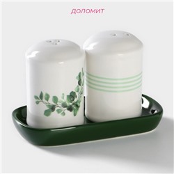Набор для специй Доляна «Эвкалипт», солонка, перечница 130 мл, доломит, белый, зелёный
