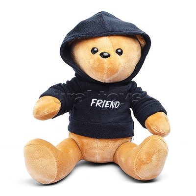 Медведь Друг В25