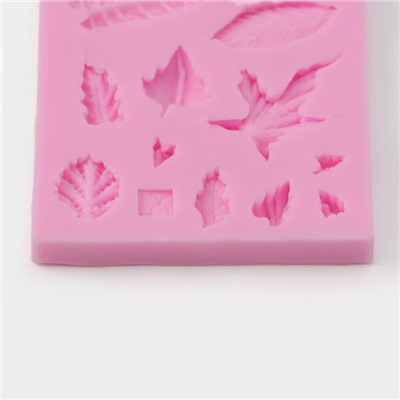 Молд для заливки Доляна «Гербарий», силикон, 14 ячеек, 8×5×0.8 см, розовый