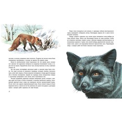 Эксмо Эрнест Сетон-Томпсон "Рассказы о животных (ил. В. Канивца)"