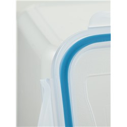 Контейнер для хранения еды Good & Good, 630 мл, с герметичной крышкой, пластик, прозрачный