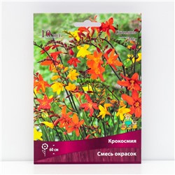 Крокосмия смесь окрасок, 10 шт., р-р 6/7