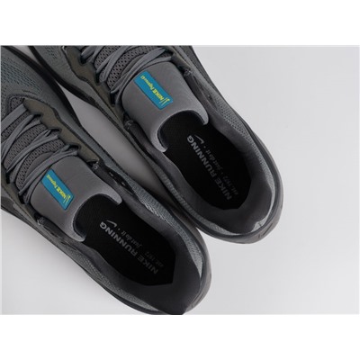 Кроссовки Nike Air Zoom Pegasus 41