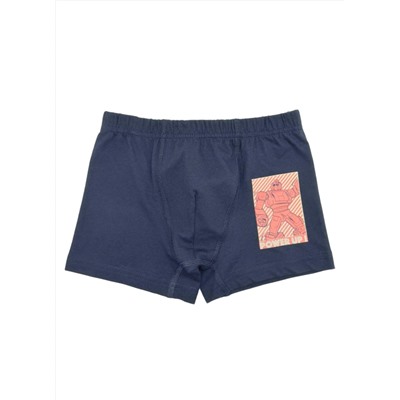 Трусы для мальчика Berrak