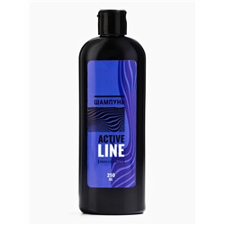 Подарочный набор мужской ACTIVE LINE, гель для душа 250 мл, шампунь 250 мл