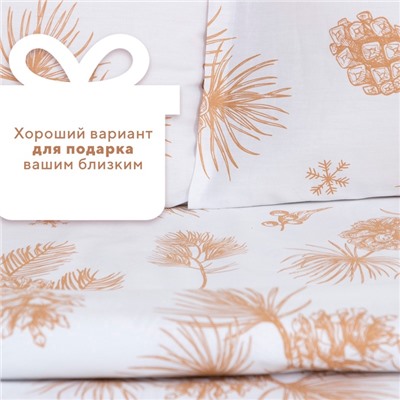 Постельное бельё 2-спальное LoveLife «Шишки», сатин