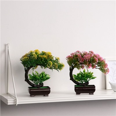 Бонсай искусственный в горшке «Селагинелла африканская», 10×20 см, МИКС