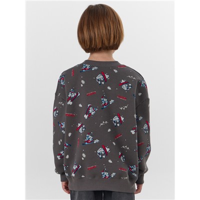 СВИТШОТ ДЛЯ МАЛЬЧИКОВ 123437/1