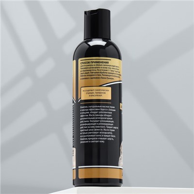 Шампунь «Пижон Premium» антипаразитарный для собак и щенков двойная защита, 250 мл