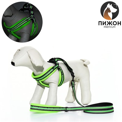 Комплект амуниции светоотражающий с мягкой шлейкой и мягкой ручкой, 1.5×120 см, ОШ 35-53, жёлтый