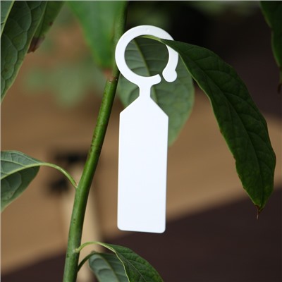 Бирки садовые, для маркировки растений, 10.5 см, набор 20 шт., маркер, пластик, белые, Greengo