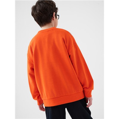 Толстовка трикотажная для мальчиков