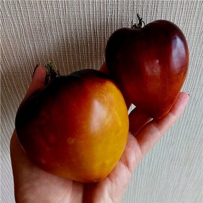 7153Т Томат Ананасный сержант 10шт