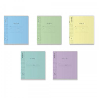 Тетрадь  12л  1 класс в две линии с частыми наклонными "Классика Visio" ассорти 43334 ErichKrause