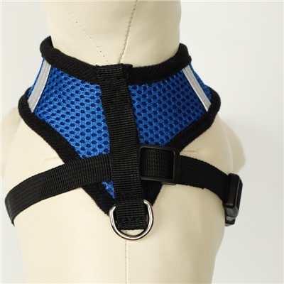 Комплект амуниции с мягкой шлейкой и светоотражающей нашивкой, M, ОШ 26, ОГ 36-44, синий