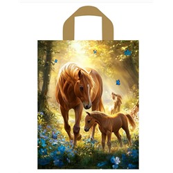 Пакет 35*28 Утро Глянец 9008