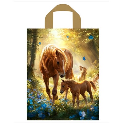 Пакет 35*28 Утро Глянец 9008