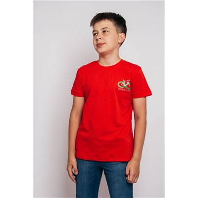 Футболка для мальчика 52319