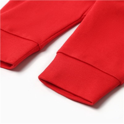 Костюм детский новогодний (кофточка, штанишки) «Крошка Я. Зимние друзья», рост 92-98 см