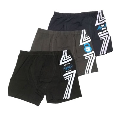 395099 (Трусы для мальчика боксеры, Baykar )