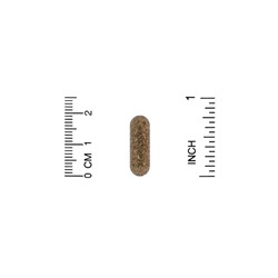 Alta Health, Растительный диоксид кремния с биофлавоноидами, 120 таблеток