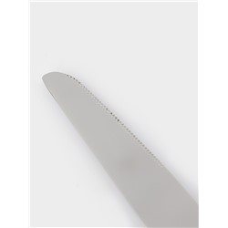 Нож столовый Magistro «Фьюжн», длина 23.5 см, нержавеющая сталь, серебристый