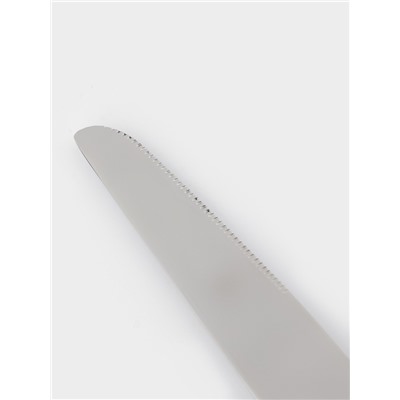 Нож столовый Magistro «Фьюжн», длина 23.5 см, нержавеющая сталь, серебристый