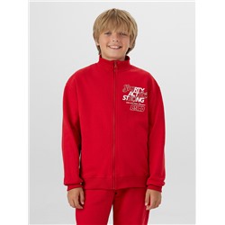 ТОЛСТОВКА ДЛЯ МАЛЬЧИКОВ 123448