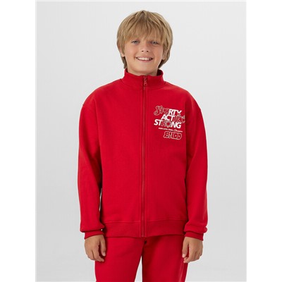 ТОЛСТОВКА ДЛЯ МАЛЬЧИКОВ 123448