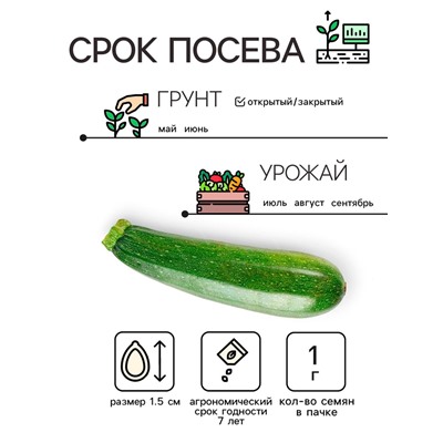 Семена Кабачок "Скворушка", 1 г