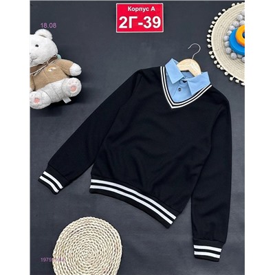 кофта 1979213-4