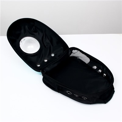 Рюкзак для переноски кошек «Гламуррр», 32×25×42 см, с окном для обзора, голубой