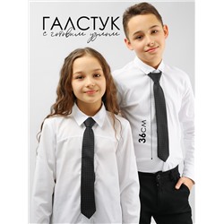 Соль&Перец Галстук SP304A