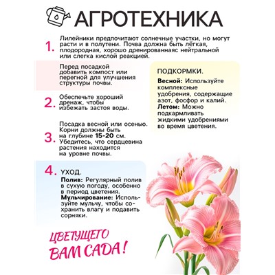 Лилейник Pink Vision, многолетник, корневище в пакете с торфогрунтом, р-р I, 1 шт.