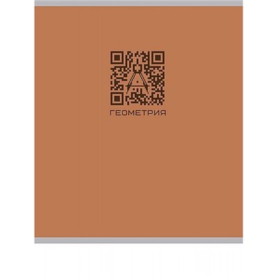 Тетрадь 48л "КЬЮАР-КОД" по геометрии 48-9930 Проф-Пресс