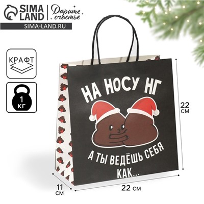 Пакет подарочный новогодний «На носу НГ», 22×22×11 см