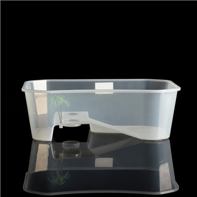 Отсадник для черепах, 40×24.5×13 см, белый