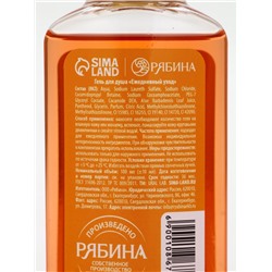 Подарочный набор новогодний: гель для душа 2 шт. × 100 мл, мочалка для тела, аромат мандарин и тыква, URAL LAB