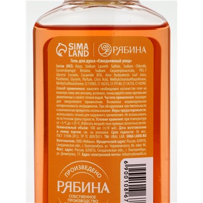 Подарочный набор новогодний: гель для душа 2 шт. × 100 мл, мочалка для тела, аромат мандарин и тыква, URAL LAB