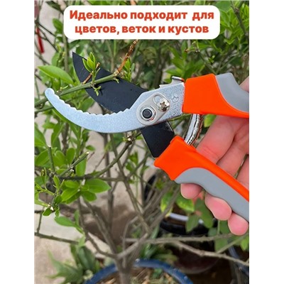 Секатор #23336016