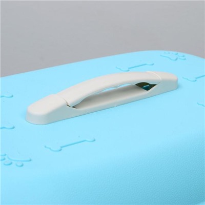 Переноска для животных, 47.5×33×31 см, пластик, голубая