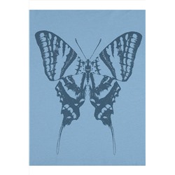 Футболка АПРЕЛЬ, 999274