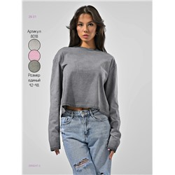 Лонгослив 2058247-2