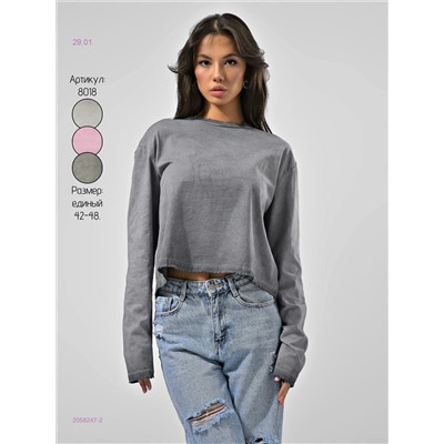 Лонгослив 2058247-2