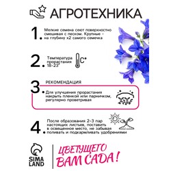 Семена цветов Лобелия "Император Вильям", 0,1 г
