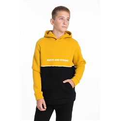 Толстовка М224098Па