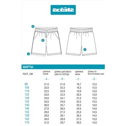 Шорты ACOOLA, 1133666