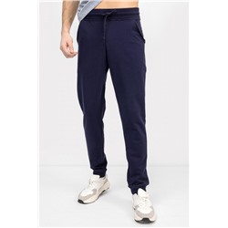 Брюки мужские 181143 (Темно-синий)