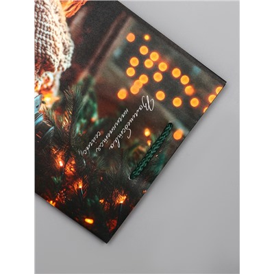Пакет подарочный новогодний ламинированный, «Уют», 18×10×22.3 см