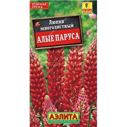 Люпин Алые паруса (Аэлита)